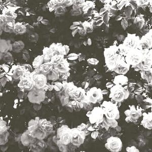 Meet your Posher, Mandy